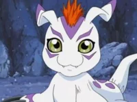 Gomamon