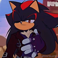 SHADOW T HEDGEHOG 