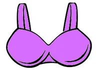 Violet bra