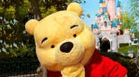 Pooh Bear Curse TF 1