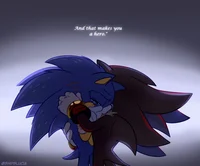 Sonic and Shadow