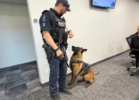 canine officer 