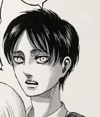 AOT Eren Jeager