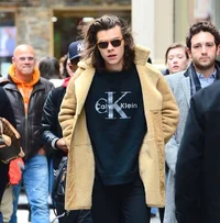 Harry Styles 2015