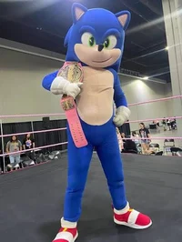 Sonic -Wrestler-