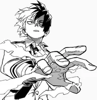 Shoto Todoroki 