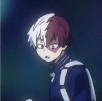 Shoto todoroki 