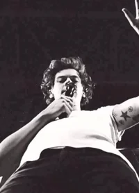 harry styles - mafia