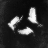 Hades - Dark night