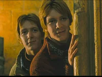 Weasley twins 