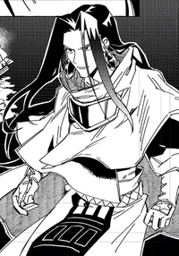 Silva shaman king