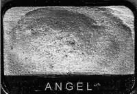 07 2 - VINTERRE COLL