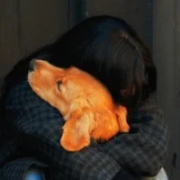 05 -HAILEE STEINFELD