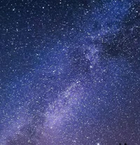 Voula-Stern coworker