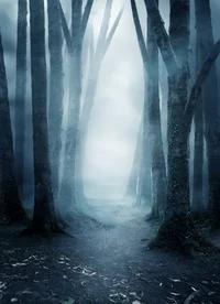 Dark forest