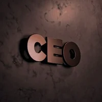 CEO- Idiot Husband