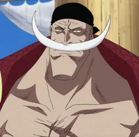 Whitebeard