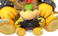 Bowser Jr