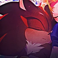 SHADOW T HEDGEHOG 