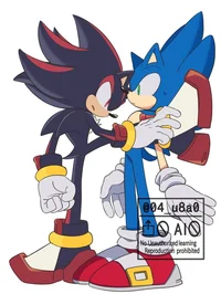 SONIC N SHADOW 