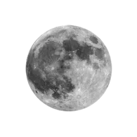 Lycaon and Hugo -ZZZ