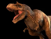 Primeval Albertosaur