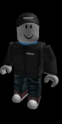 Roblox owner