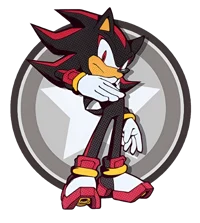 Shadow The Hedgehog