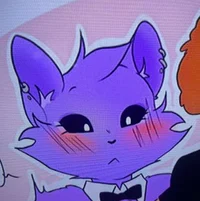 Catnap - High School