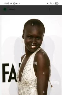 Alek Wek 