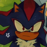 SHADOW T HEDGEHOG 