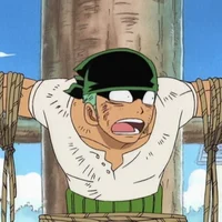 Zoro Roronoa 