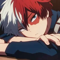 MHA Shoto Todoroki