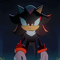 SHADOW T HEDGEHOG 
