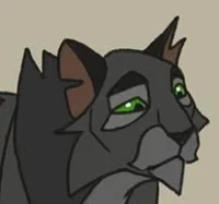 Nightpelt