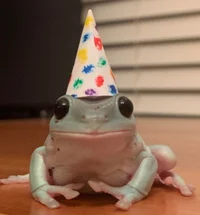 RandomFrog