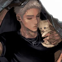 Are you a kitten