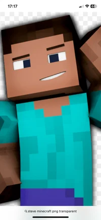 Steve 