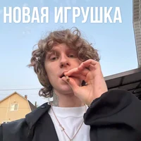 андрей ноилс