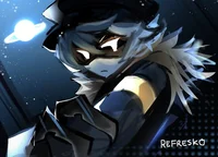 SERIAL DESIGNATION N