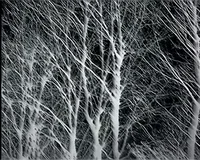 Final destination RP