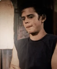 Ponyboy Curtis