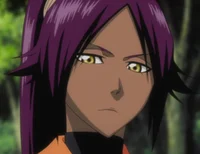 Yoruichi Shihouin