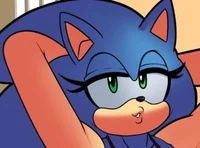 Sonica the hedgehog