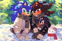 SONIC N SHADOW 