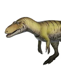 Torvosaurus tanneri