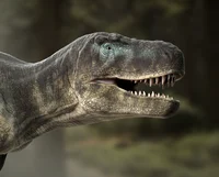 Daspletosaur Torosus