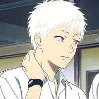 Хикару брат-близнец