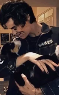 harry styles - mafia