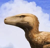 Dakotaraptor steini